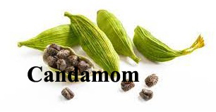 Cardamom