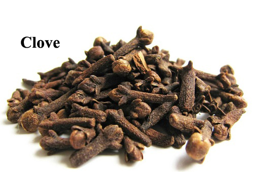 Clove