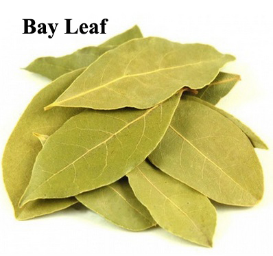 bay leaf