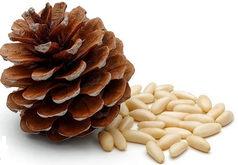 pine nuts
