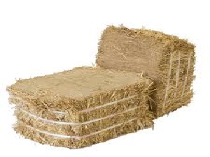 wheat straw Wheat